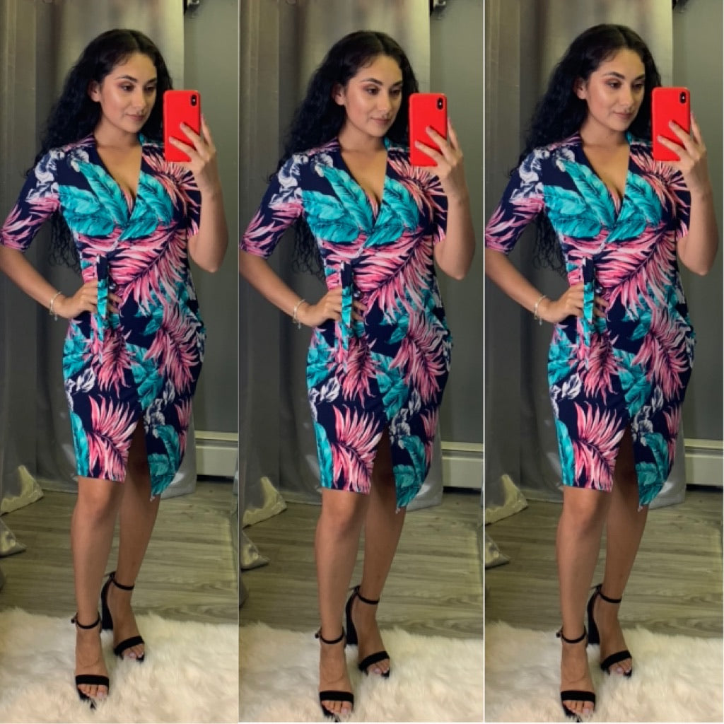 Evella Dress (Navy/Pink)